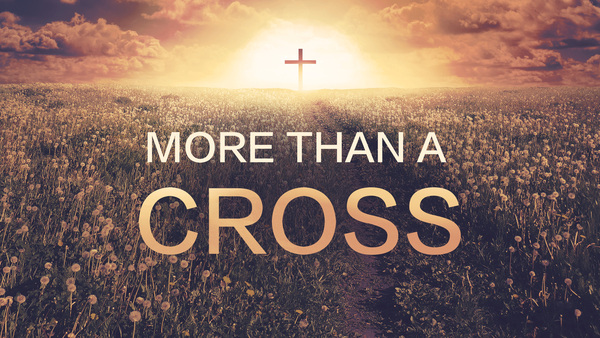 More Than A Cross Series